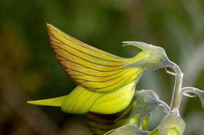 Colibri Loc - Insolite - 3 Etoiles - Parc - Etang - Familles - Soiree Ok Brigne Exterior photo