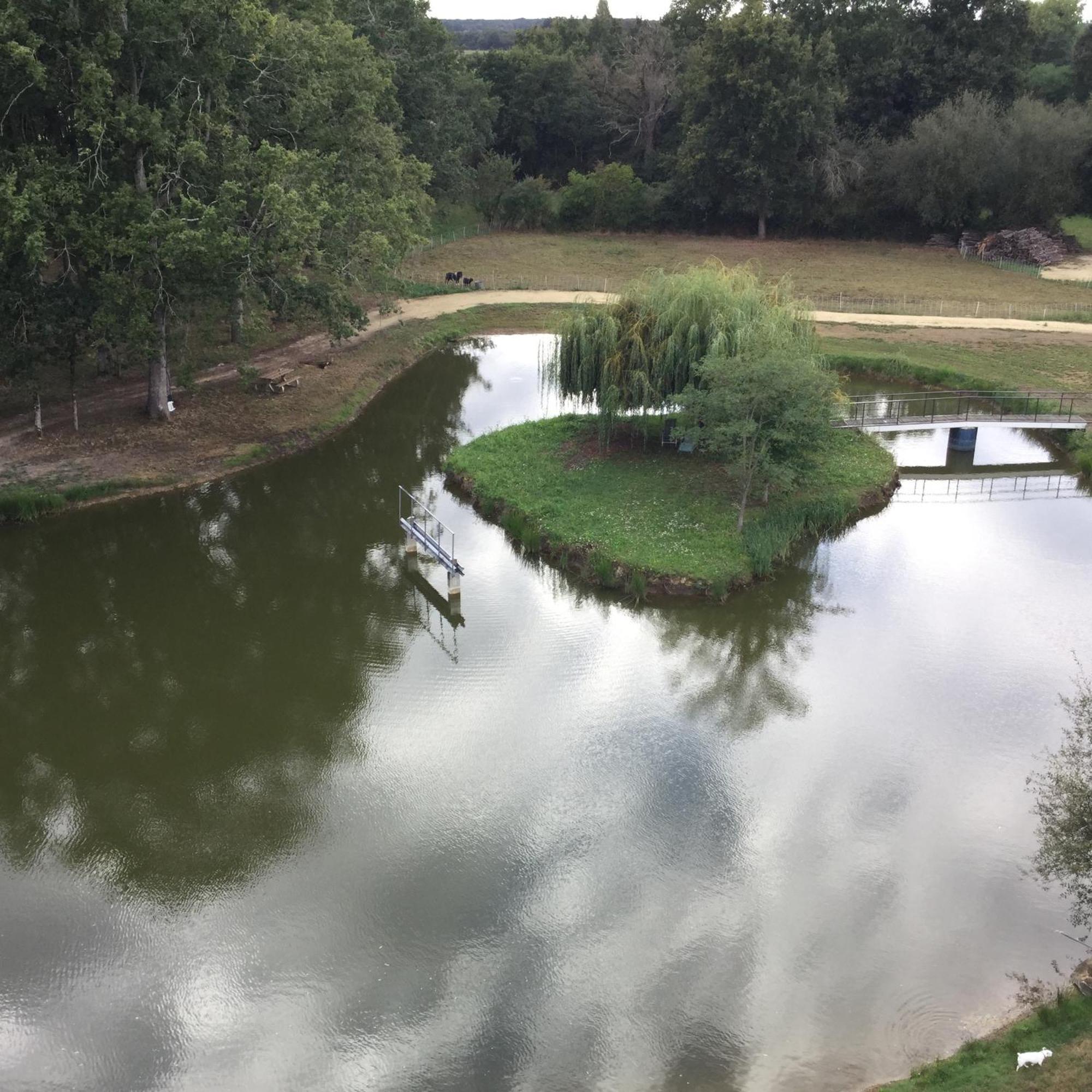 Colibri Loc - Insolite - 3 Etoiles - Parc - Etang - Familles - Soiree Ok Brigne Exterior photo