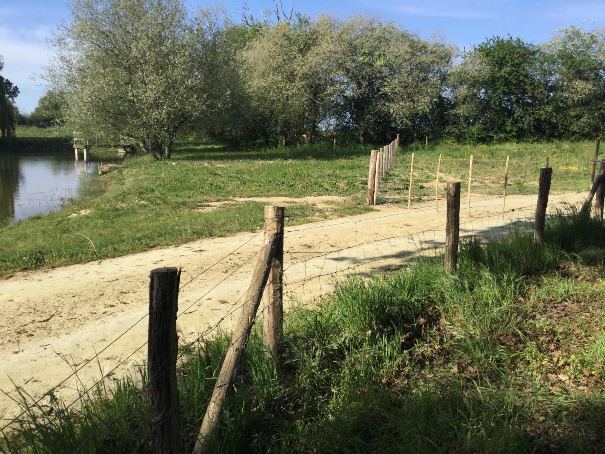 Colibri Loc - Insolite - 3 Etoiles - Parc - Etang - Familles - Soiree Ok Brigne Exterior photo