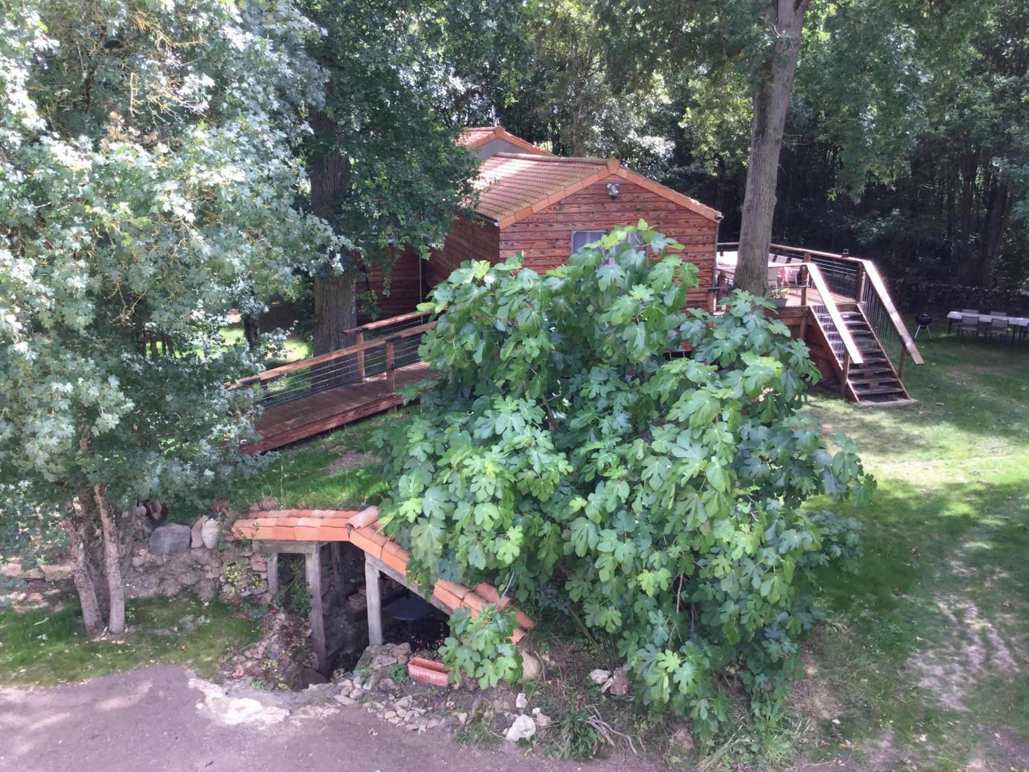 Colibri Loc - Insolite - 3 Etoiles - Parc - Etang - Familles - Soiree Ok Brigne Exterior photo